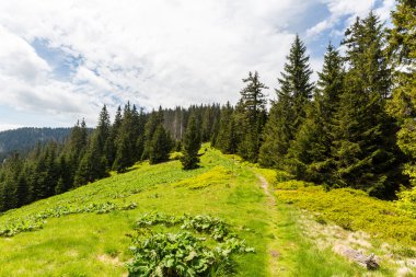 Bisiklete binme boyunca doğa Revuce Slovakya Malino Brdo yolu