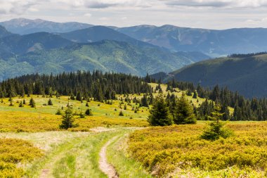 Bisiklete binme boyunca doğa Revuce Slovakya Malino Brdo yolu