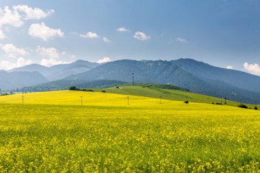 Doğa bölgede Liptov, Slovakya yaz 2015
