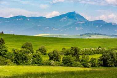 Doğa bölgede Liptov, Slovakya yaz 2015