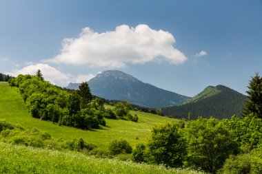 Doğa bölgede Liptov, Slovakya yaz 2015