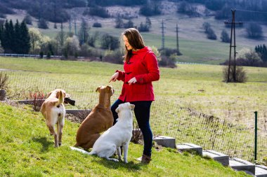 Genç kadın ile pets Bahçe, köpek eğitim Slovakya