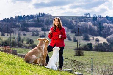 Genç kadın ile pets Bahçe, köpek eğitim Slovakya