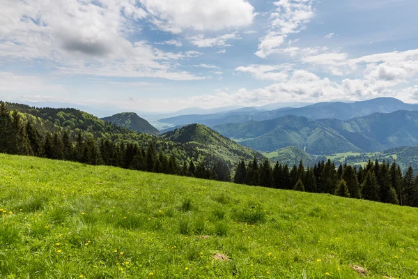 Naturen längs cyklingen väg från Malino Brdo till Revuce i Slovakien — Stockfoto