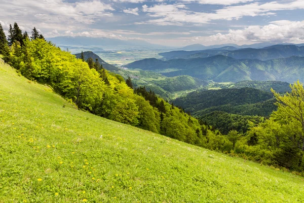 Naturen längs cyklingen väg från Malino Brdo till Revuce i Slovakien — Stockfoto