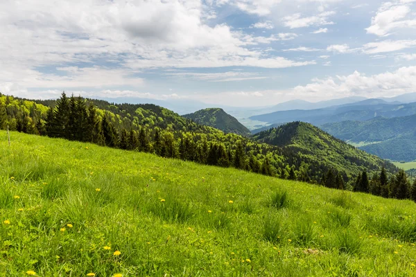 Naturen längs cyklingen väg från Malino Brdo till Revuce i Slovakien — Stockfoto