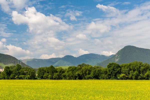 Nature in Liptov region, Slovakia in summer 2015 — Stock Photo, Image