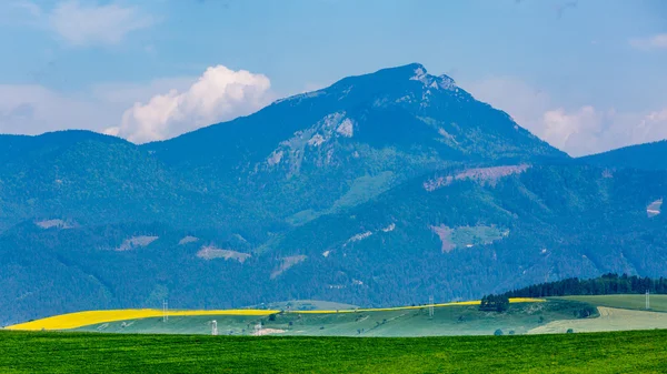 Naturaleza en la región de Liptov, Eslovaquia en el verano de 2015 —  Fotos de Stock