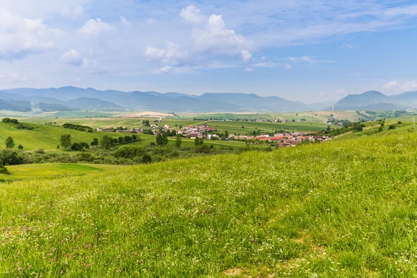 Naturen i regionen Liptov, Slovakien sommaren 2015 — Stockfoto