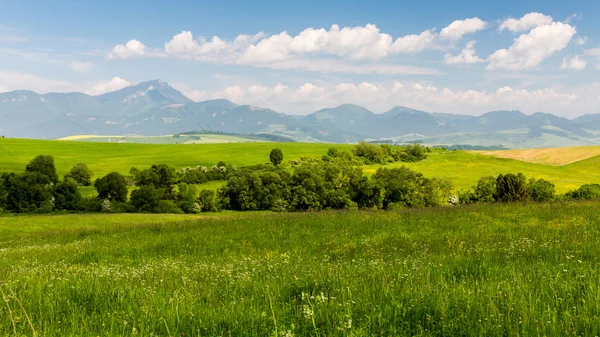 Naturen i regionen Liptov, Slovakien sommaren 2015 — Stockfoto