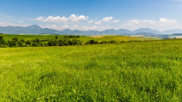 Nature in Liptov region, Slovakia in summer 2015 — Stock Photo, Image