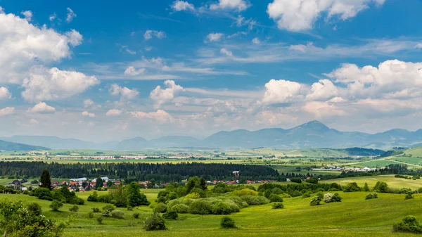 Nature dans la région de Liptov, Slovaquie à l'été 2015 — Photo