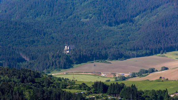 Κάστρο Likavka κοντά στο Ruzomberok στη Σλοβακία το καλοκαίρι — Φωτογραφία Αρχείου