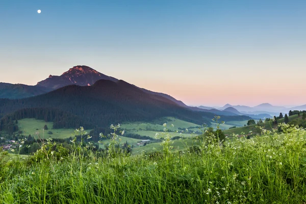 Berg Choc bij zonsopgang in de buurt van Dolny Kubin, Slowakije — Stockfoto