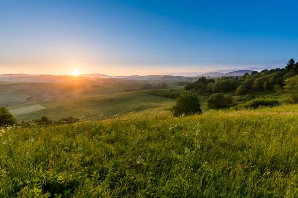 Velden en heuvels bij zonsopgang in de buurt van Dolny Kubin in Slowakije — Stockfoto