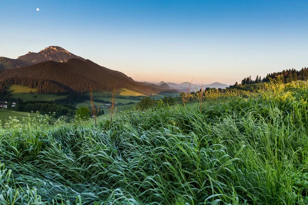 Mountain Choc all'alba vicino a Dolny Kubin, Slovacchia — Foto Stock