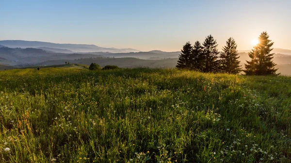 Fält och kullar på sunrise nära Dolny Kubin i Slovakien — Stockfoto