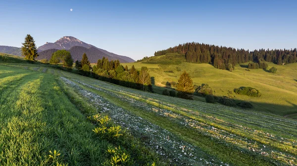 Mountain Choc au lever du soleil près de Dolny Kubin, Slovaquie — Photo