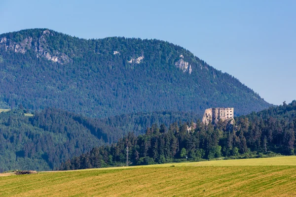 Castillo Likavka cerca de Ruzomberok en Eslovaquia en verano —  Fotos de Stock
