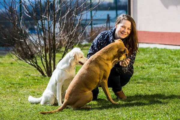 Mujer joven con perros en el jardín —  Fotos de Stock