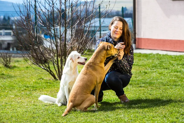 Mujer joven con perros en el jardín —  Fotos de Stock