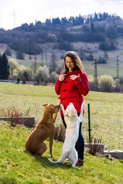 Mujer joven con mascotas en el jardín, entrenamiento de perros en Eslovaquia —  Fotos de Stock