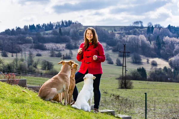 Jovem com animais de estimação no jardim, treinamento de cães na Eslováquia — Fotografia de Stock