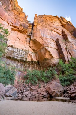 Zion Ulusal Parkı, Utah