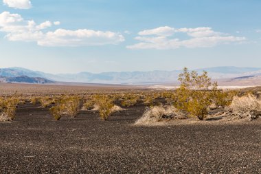 Ölüm Vadisi Ulusal Parkı