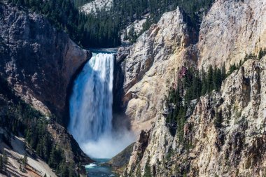 Yellowstone Ulusal Parkı, ABD