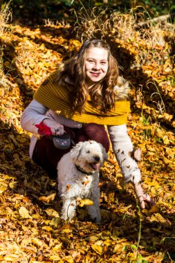 Ormandaki bir fino köpeği ile kız