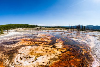 Yellowstone Ulusal Parkı, ABD
