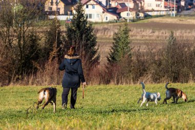 Kadın yıkamaları köpekler dışında