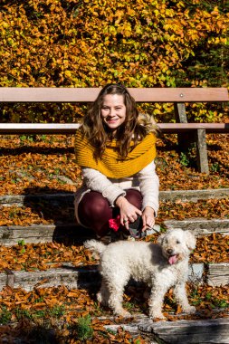 Ormandaki bir fino köpeği ile kız