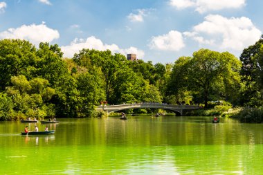 Central Park, New York