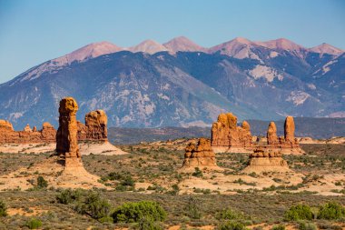 Taşlaşmış Dunes Arches National Park