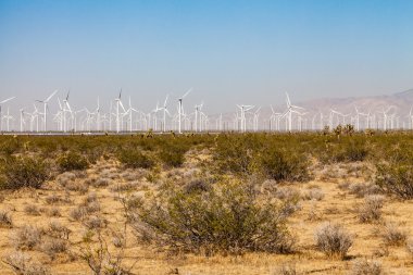 Mojave Desert, California