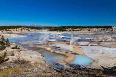 Yellowstone Ulusal Parkı, ABD