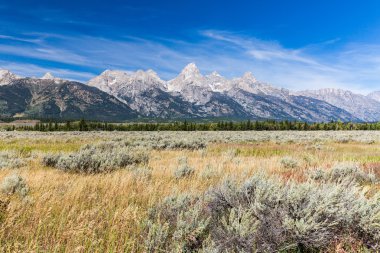 Grand Teton National Park,