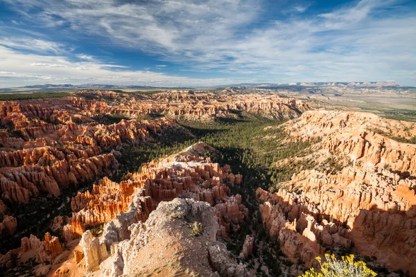 Bryce Canyon Nemzeti Park, Utah — Stock Fotó