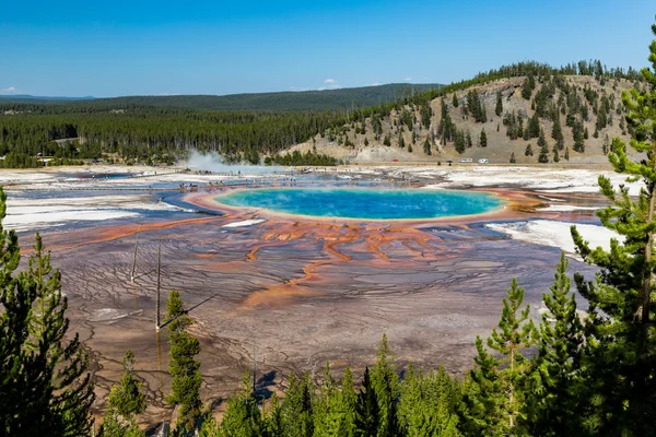 Yellowstone Nemzeti Park, Amerikai Egyesült Államok — Stock Fotó
