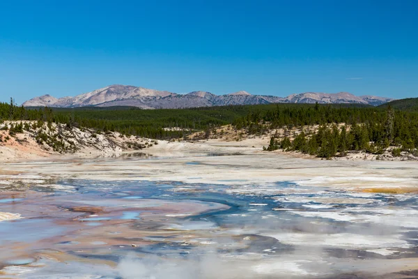 Yellowstone Nemzeti Park, Amerikai Egyesült Államok — Stock Fotó