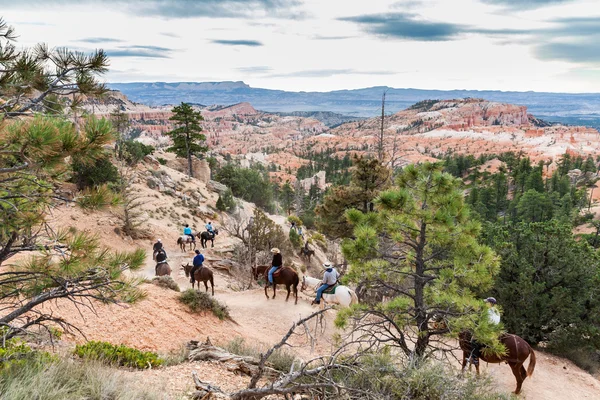 Parque Nacional Bryce Canyon, Utah — Foto de Stock