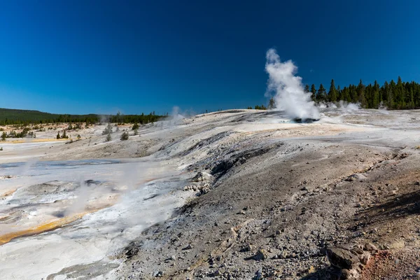 Parque Nacional de Yellowstone, Estados Unidos — Foto de Stock