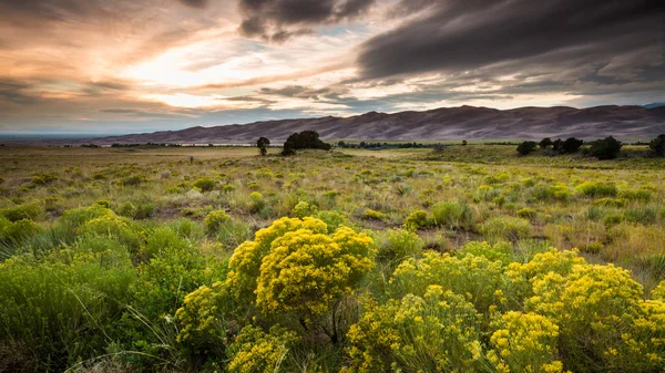 Parco Nazionale delle Grandi Dune di Sabbia — Foto Stock