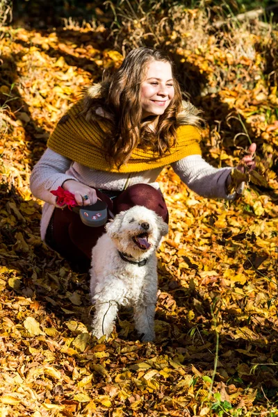 Flicka med en pudel i skogen — Stockfoto