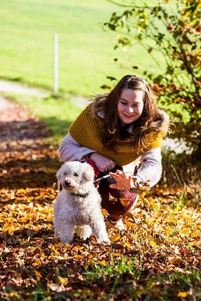 Girl with a poodle in forest — Stock Photo, Image