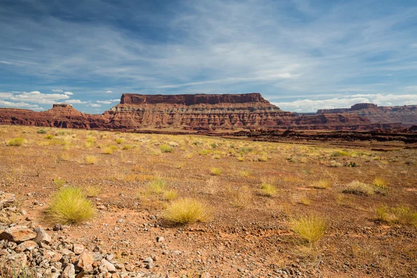 Kilátás a Canyonlands Nemzeti Park — Stock Fotó