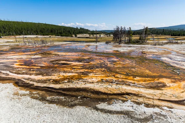 Park Narodowy Yellowstone, USA — Zdjęcie stockowe