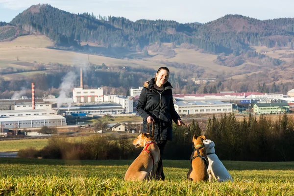 Mulher instruindo cães fora — Fotografia de Stock